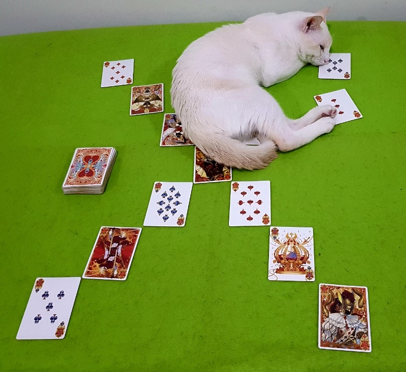 https://ludopedia.com.br/uploads/01/497/yjxpg0.jpg