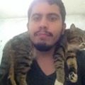 Perfil