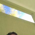 Perfil