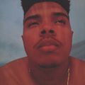 Perfil