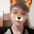 Perfil