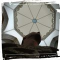 Perfil