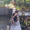 Perfil
