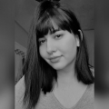 Perfil