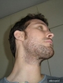 Perfil