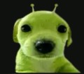 Perfil