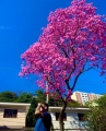 Perfil