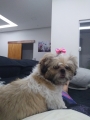 Perfil