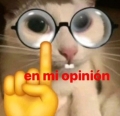Perfil