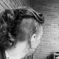 Perfil