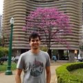Perfil