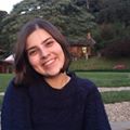 Perfil