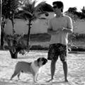 Perfil