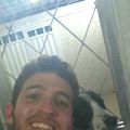 Perfil