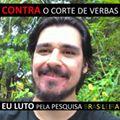 Perfil