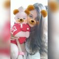 Perfil